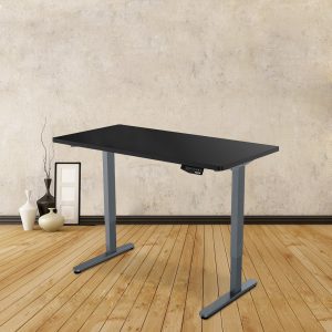 Flexispot E2 Desk Review 