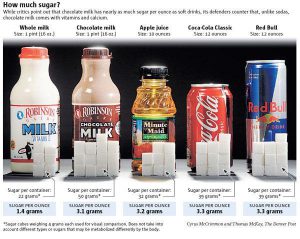 Diet and Fat Loss