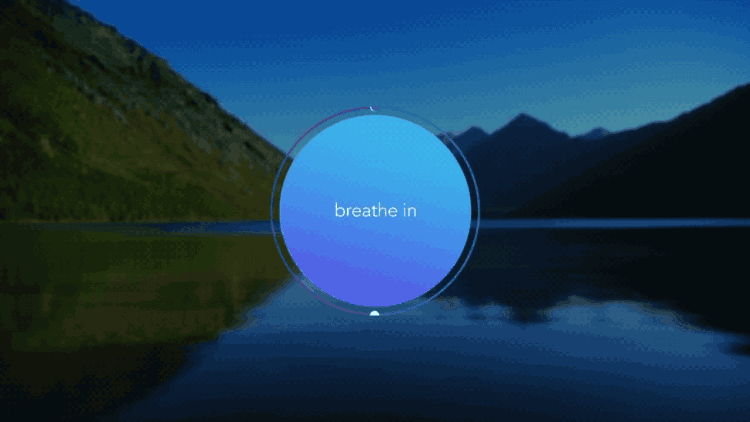 calm app review breath in/out gif